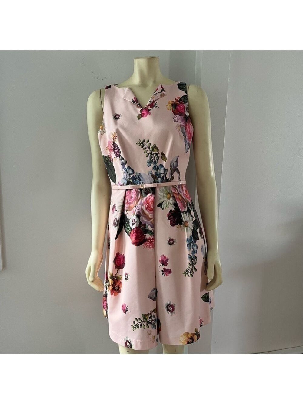 Ted BAKER DEAVON WOMEN'S OIL PAINTING Floral Sleeveless Belted DRESS NUDE PINK 6